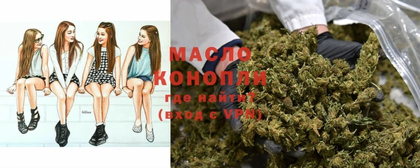 метадон Богданович